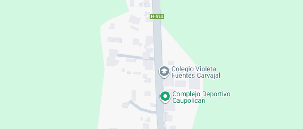 Violeta Fuentes Carvajal