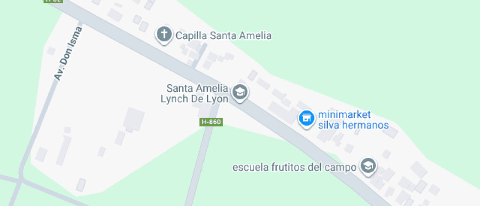 Amelia Lynch De Lyon