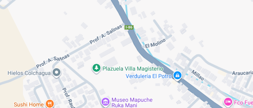 María Victoria Araya Valdés