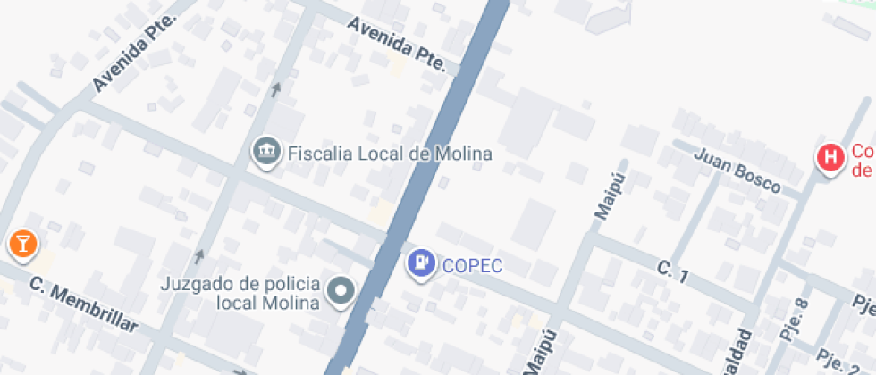 Polivalente De Molina