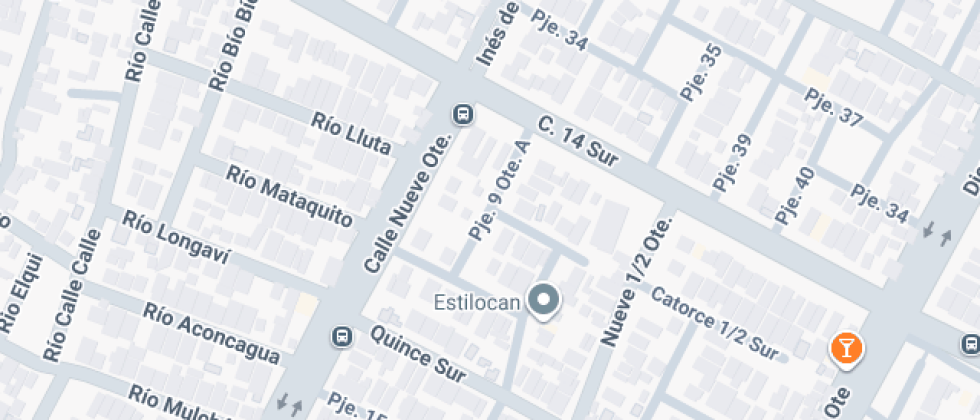 Artístico Del Maule