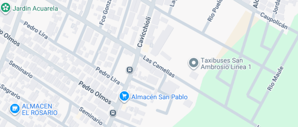 Alcalde Héctor Pinochet C