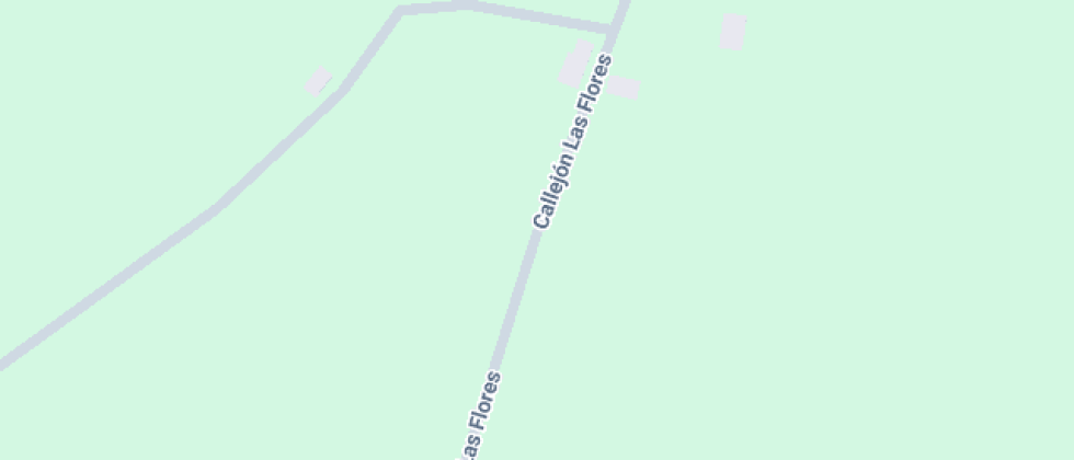 Cardenal José María Caro