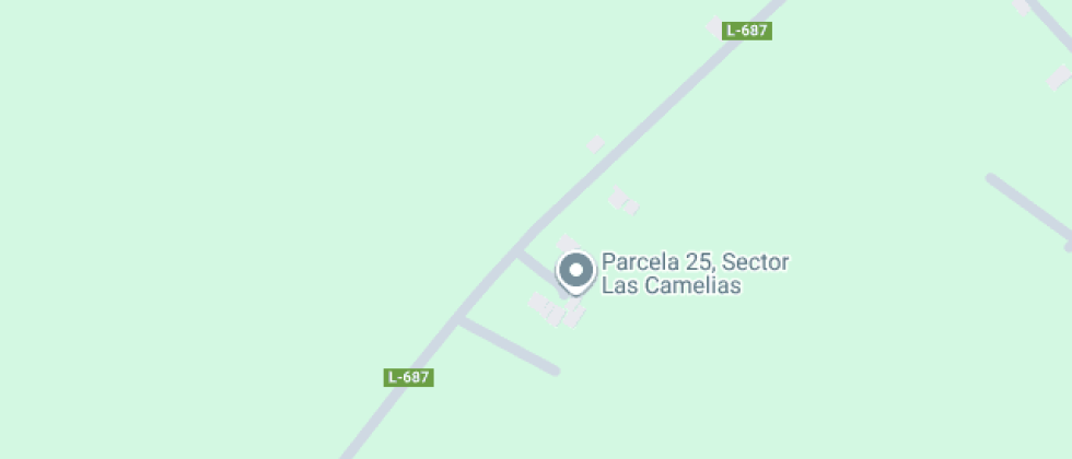 Bicentenario Polivalente Las Camelias