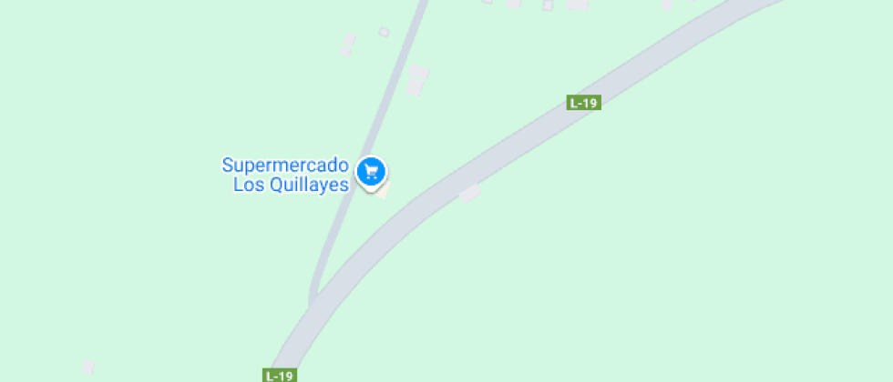 Profesor Ramón Leiva Narváez