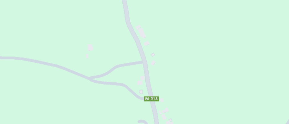 Escritora Marcela Paz