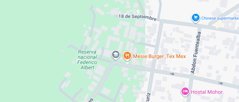 Federico Albert Faupp