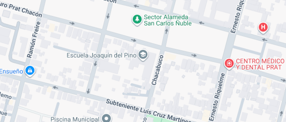 Joaquín Del Pino Rozas Y Negrete