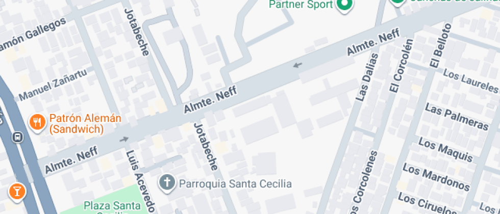 Profesor Sergio Moraga Arcil