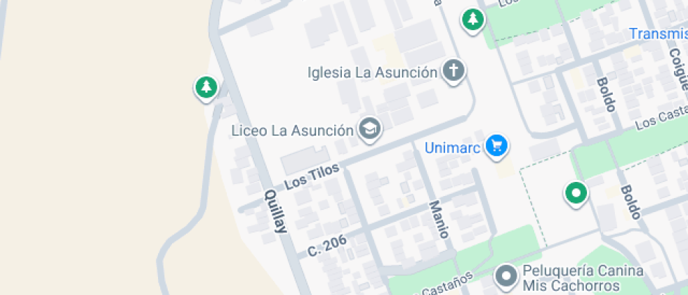La Asuncion