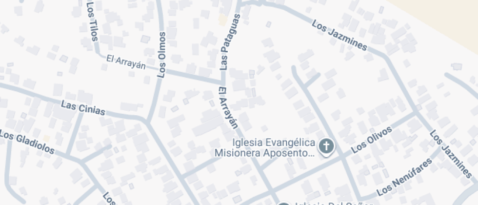 Lisa Enriqueta Peter Teubner