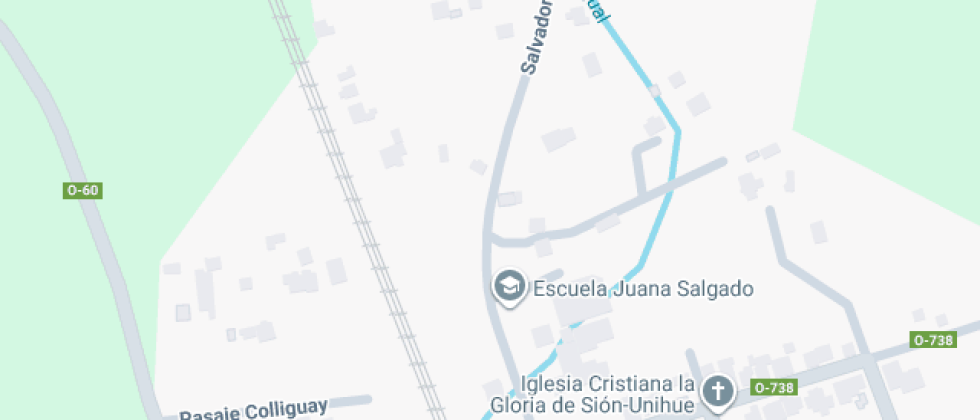 Profesora Juana Salgado Parra De Unihue