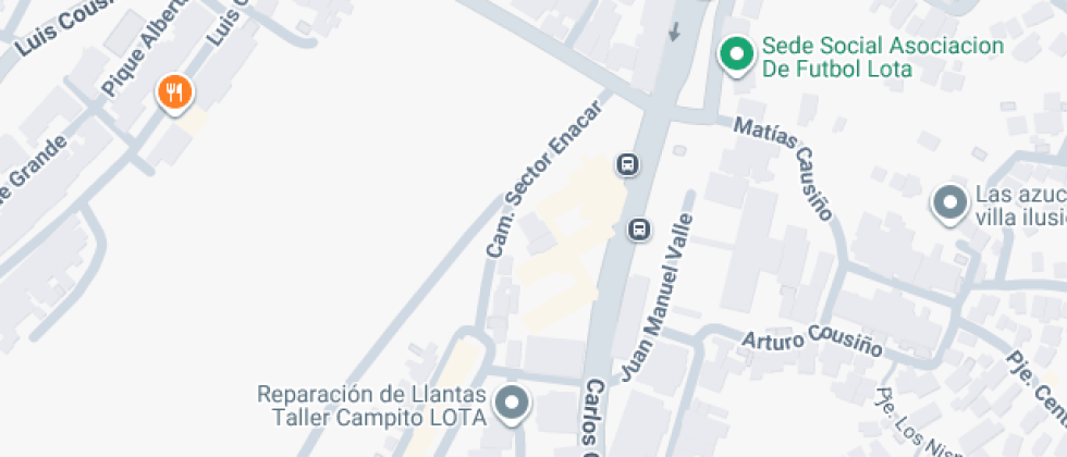 Carlos Cousiño Goyenechea