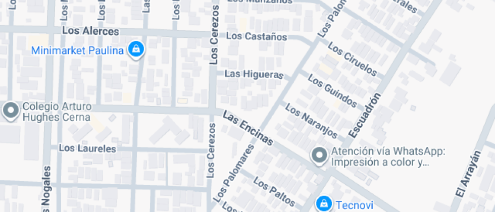 Ignacio Carrera Pinto