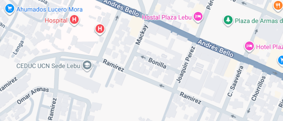 Profesor Alamiro Gallegos Muñoz