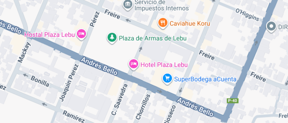 Profesora Rebeca Castro Araneda