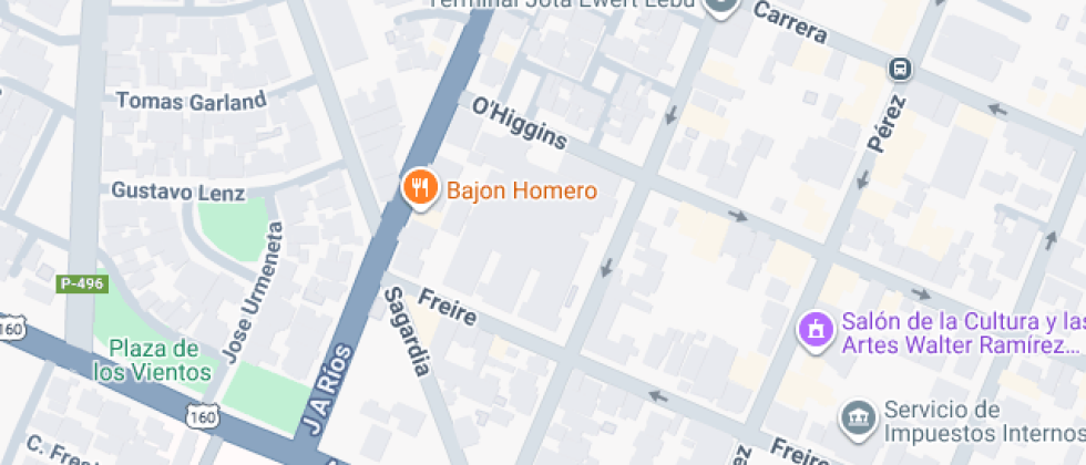 Fresia Graciela Muller Ruiz