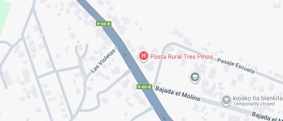 Zaida Araneda Vigueras