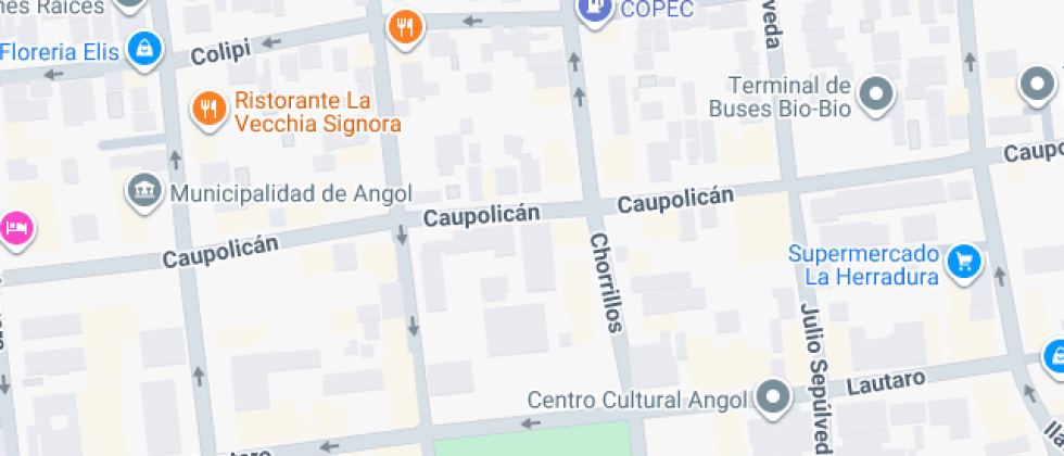 María Sylvester Rasch