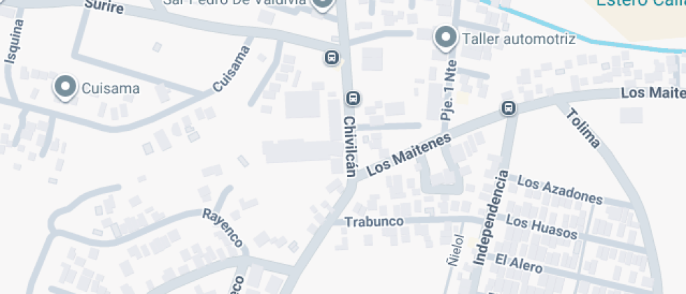 Escuela  Particular Mono Paine