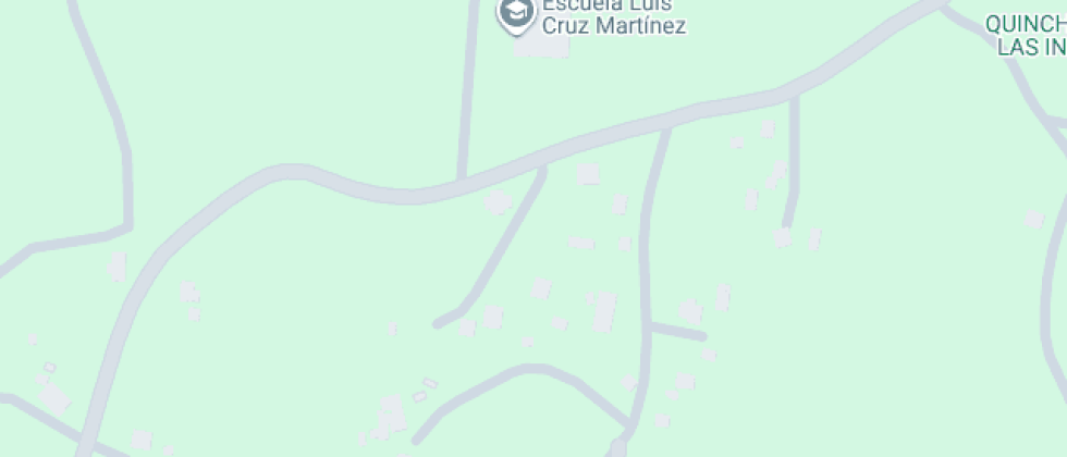 Escuela Particular Luis Cruz Martinez