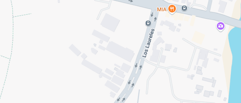 Alemán Carlos Anwandter