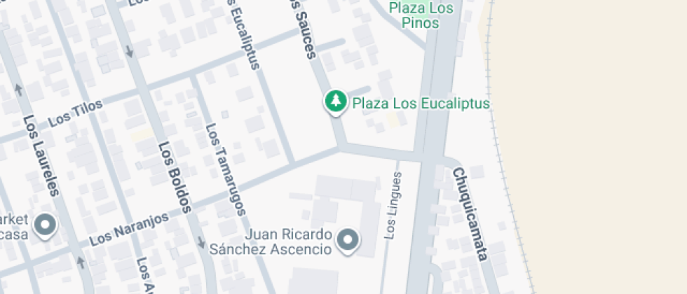 Juan Ricardo Sánchez Ascencio