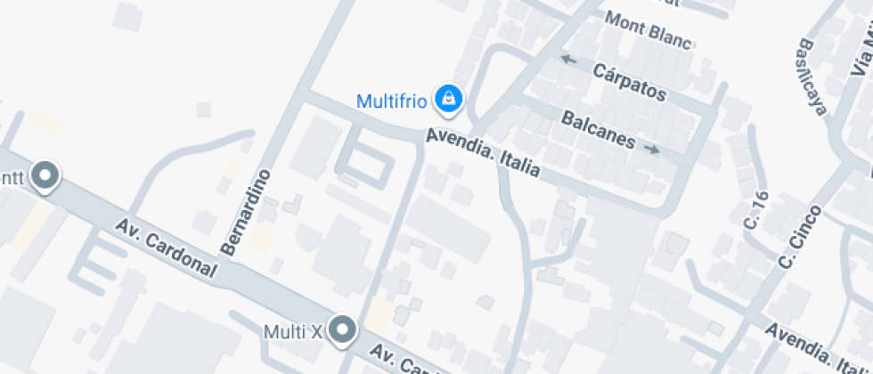 Rotario Pedro Avelino Bravo