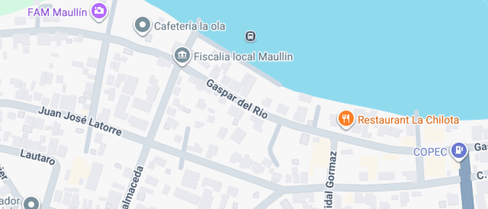 Capitán De Fragata Francisco Vidal Gormaz