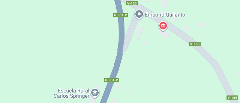 Carlos Springer Niklitschek