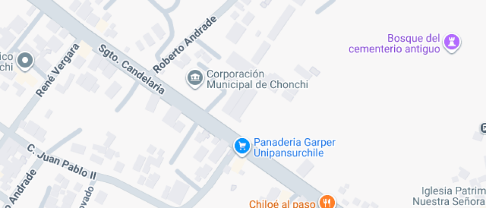 Manuel Jesús Andrade Bórquez