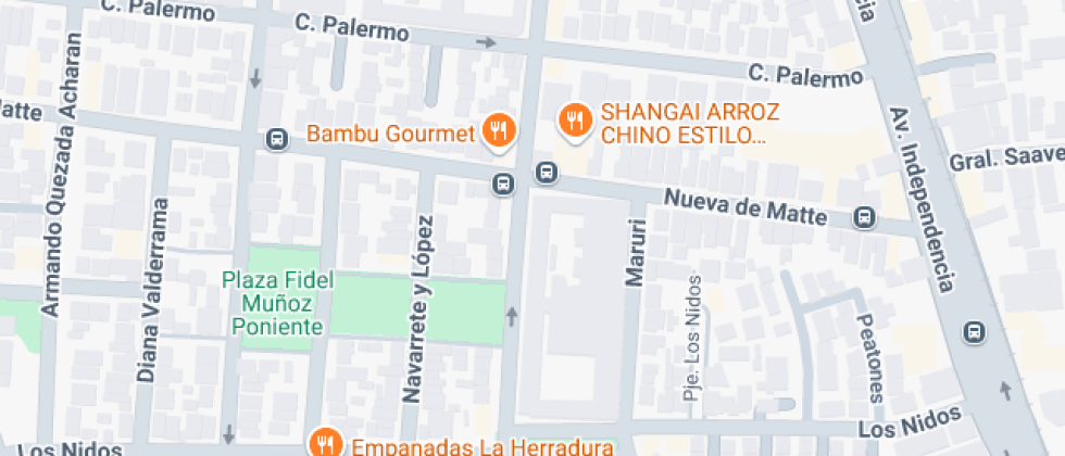 Multigénero Doctora Eloisa Díaz Inzunza