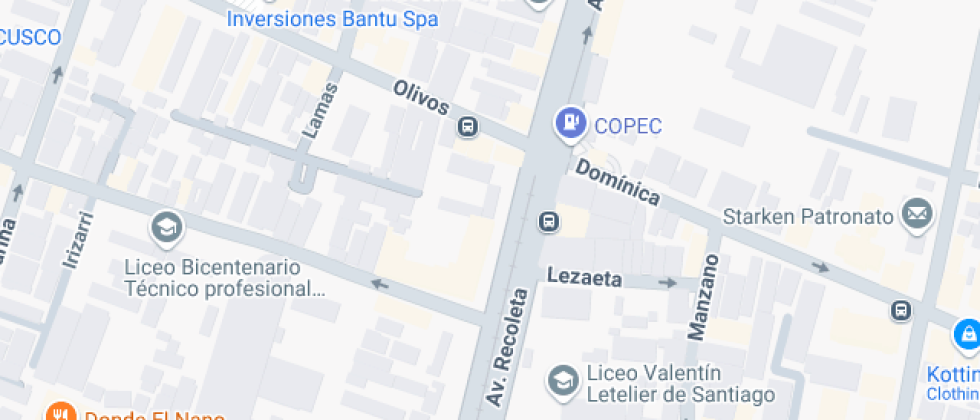 De Adultos  Jorge Alessandri R.