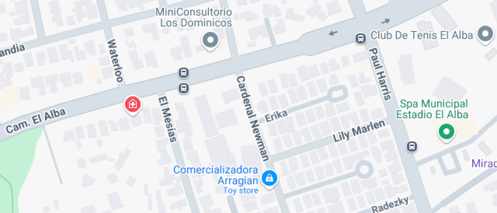 La Virgen De Pompeya