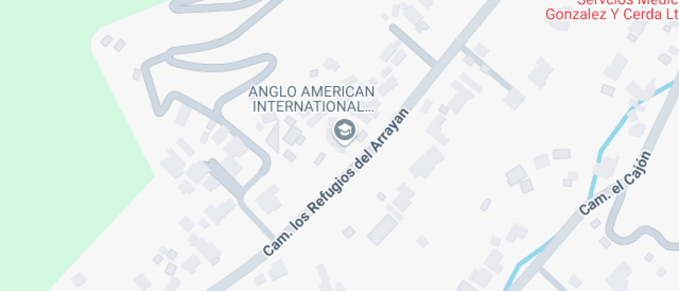 Anglo American International School