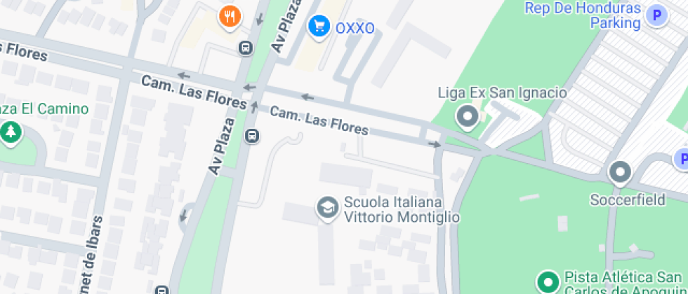 Scuola Italiana Vittorio Montiglio