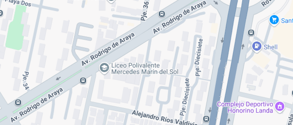 Polivalente Mercedes Marín Del Solar