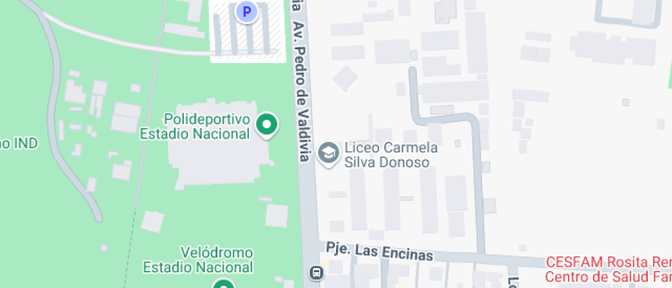 Bicentenario Carmela Silva Donoso