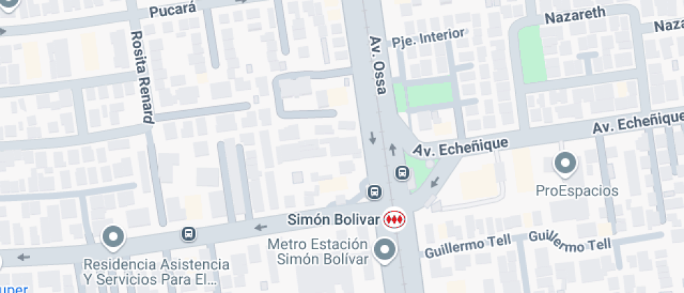 Víctor Domingo Silva