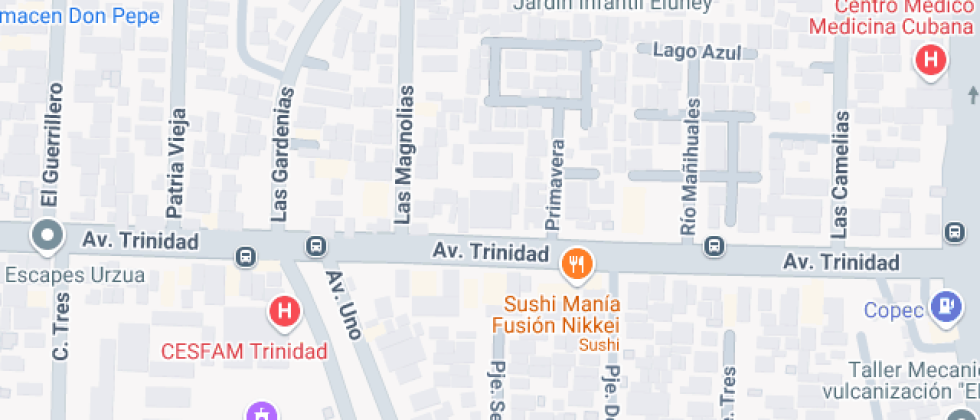 Particular Isla Wellington