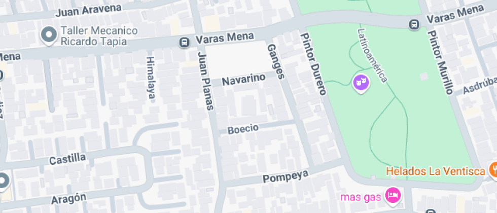 Básica Poeta Neruda