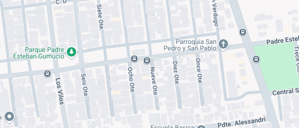 Polivalente Padre Esteban Gumucio Vives