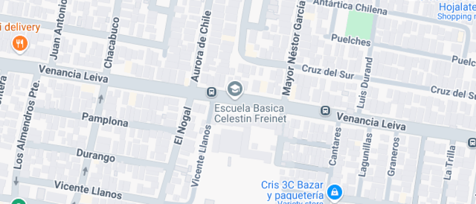 Particular Célestin Freinet