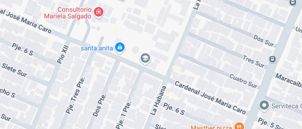 Cardenal José María Caro