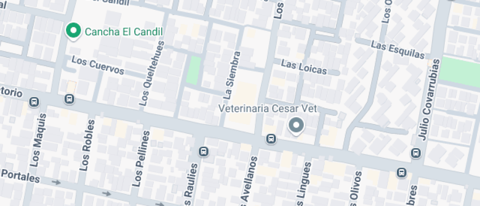 José Abelardo Nuñez 