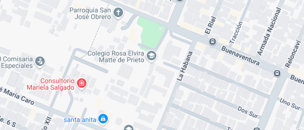 Rosa Elvira Matte de Prieto