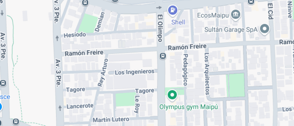 Polivalente Patricio Mekis