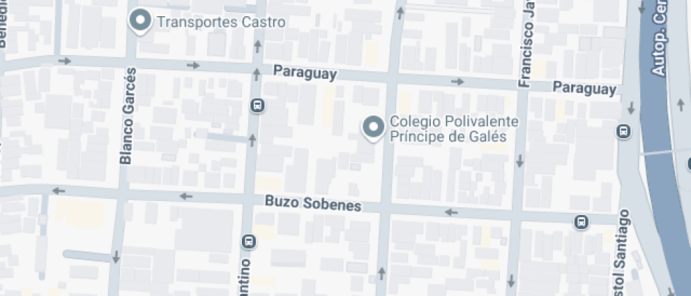 Polivalente Príncipe De Gales