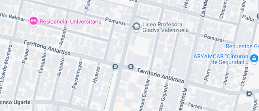 Profesora Gladys Valenzuela