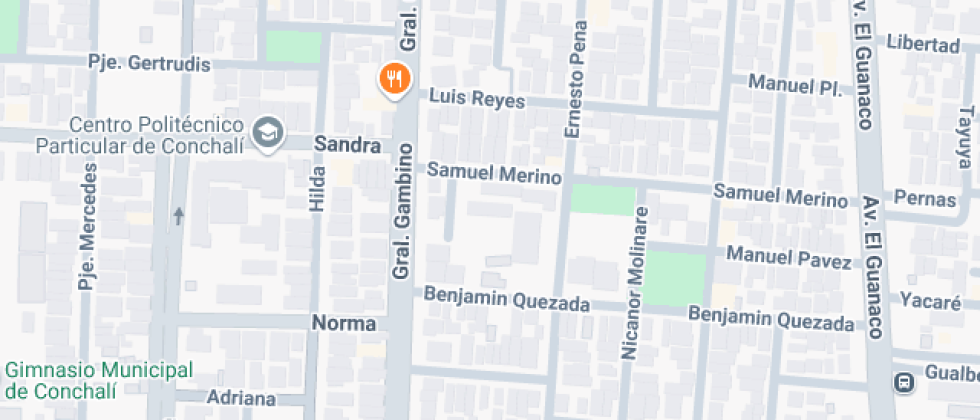 Doctora Eloísa Díaz Insunza